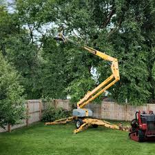 Best Pest Control for Lawns  in Gloverville, SC