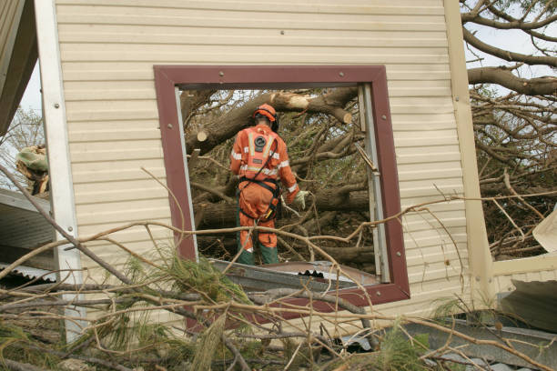 Best Tree Maintenance Programs  in Gloverville, SC