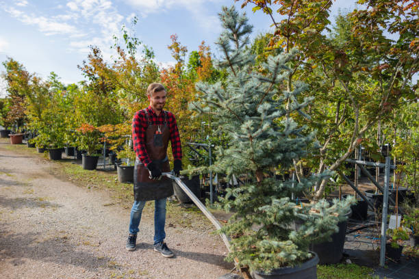 Best Lawn Watering Services  in Gloverville, SC